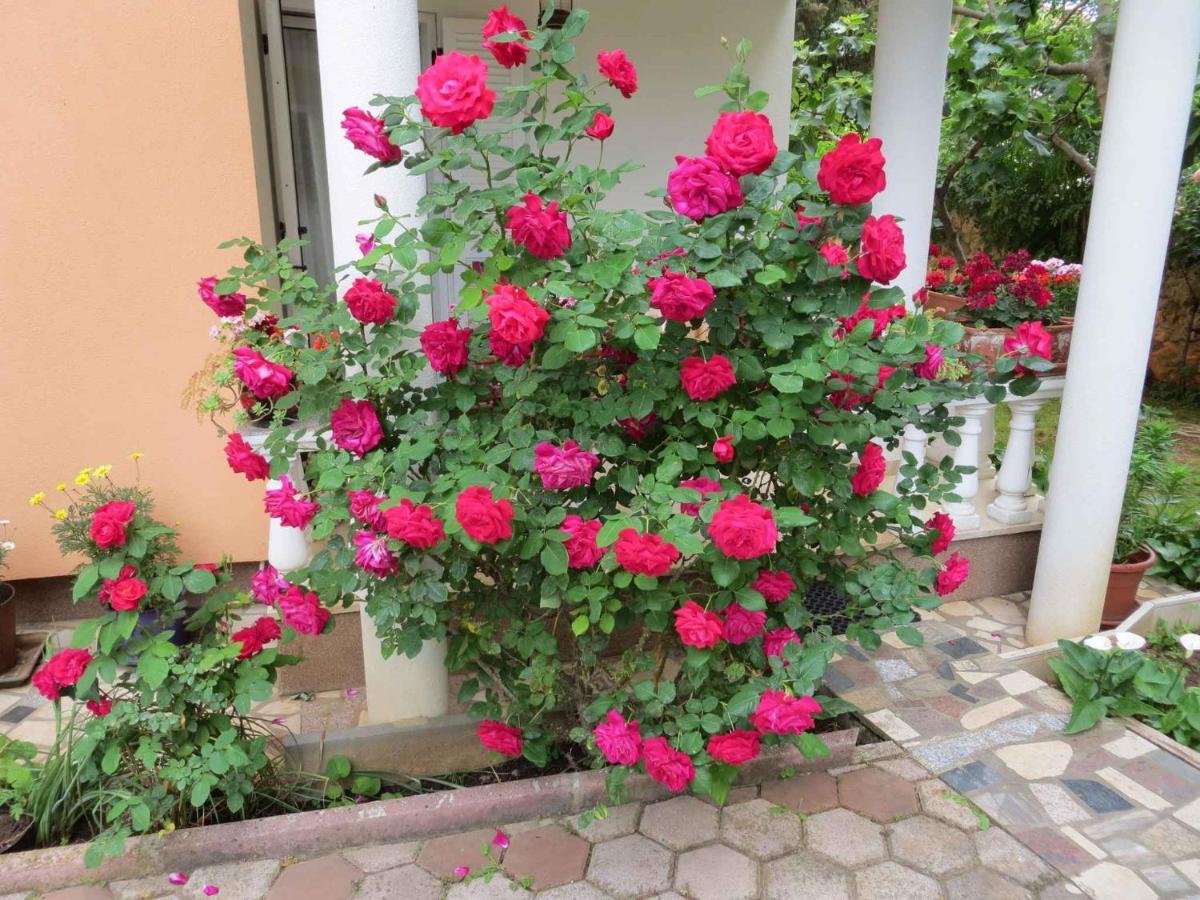 Apartments In Premantura/Istrien 34773 Екстериор снимка